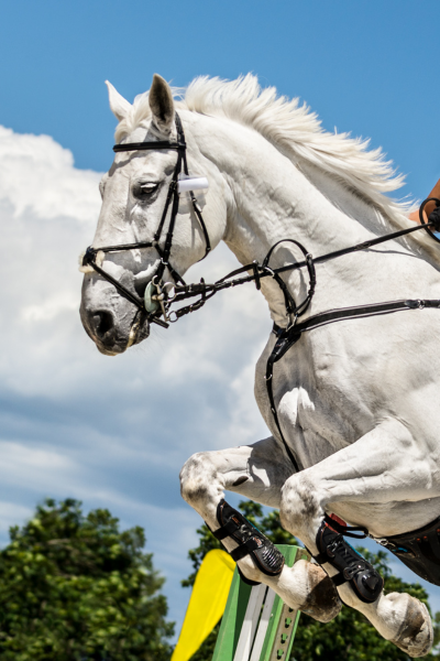 Design sans titre (1)